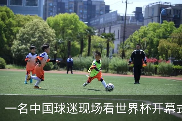 一名中国球迷现场看世界杯开幕式“破防”：要是有我们的球队该多好