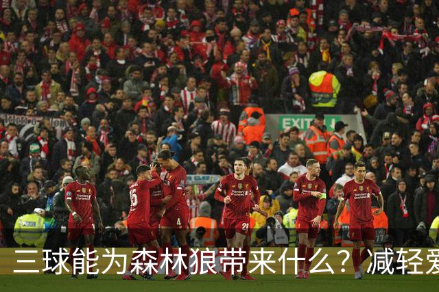 三球能为森林狼带来什么？减轻爱德华兹单打负担 麦丹能惩罚对手