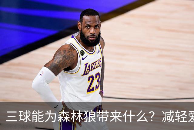 三球能为森林狼带来什么？减轻爱德华兹单打负担 麦丹能惩罚对手