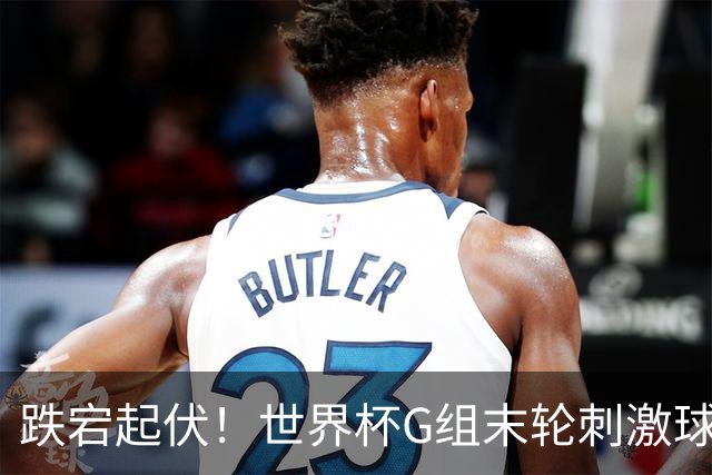跌宕起伏！世界杯G组末轮刺激球迷心脏 伊朗狂喜过后遭打击